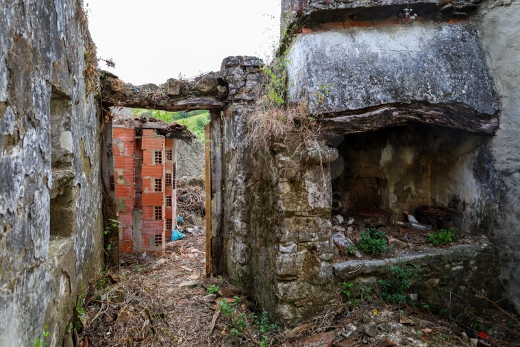 Moradia T1 para Venda em Ribafria e Pereiro de Palhacana Foto 8