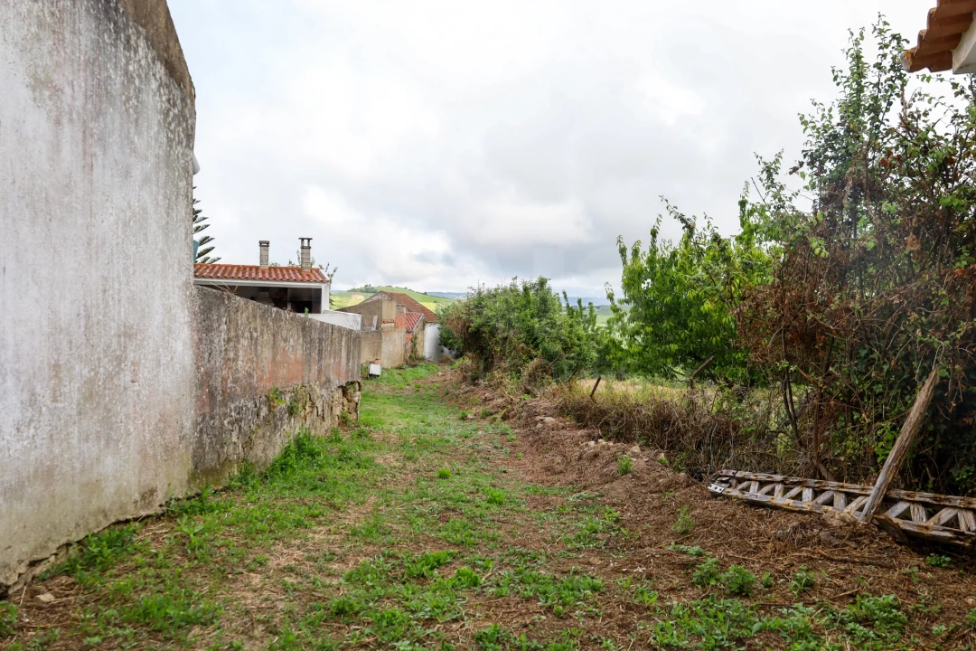Moradia T1 para Venda em Ribafria e Pereiro de Palhacana Foto 7