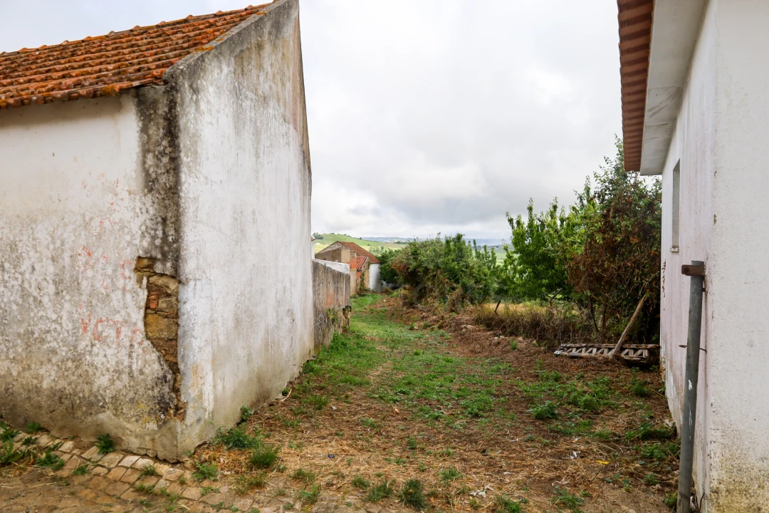 Moradia T1 para Venda em Ribafria e Pereiro de Palhacana Foto 6