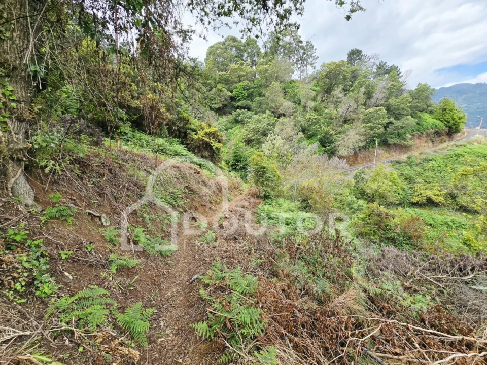 Terreno para Venda em Porto da Cruz Foto 4