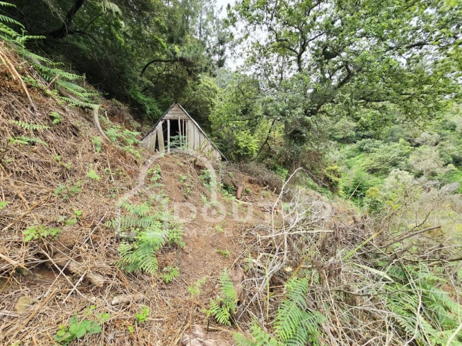 Terreno para Venda em Porto da Cruz Foto 6