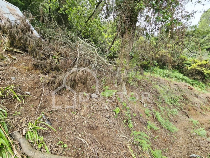 Terreno para Venda em Porto da Cruz Foto 7