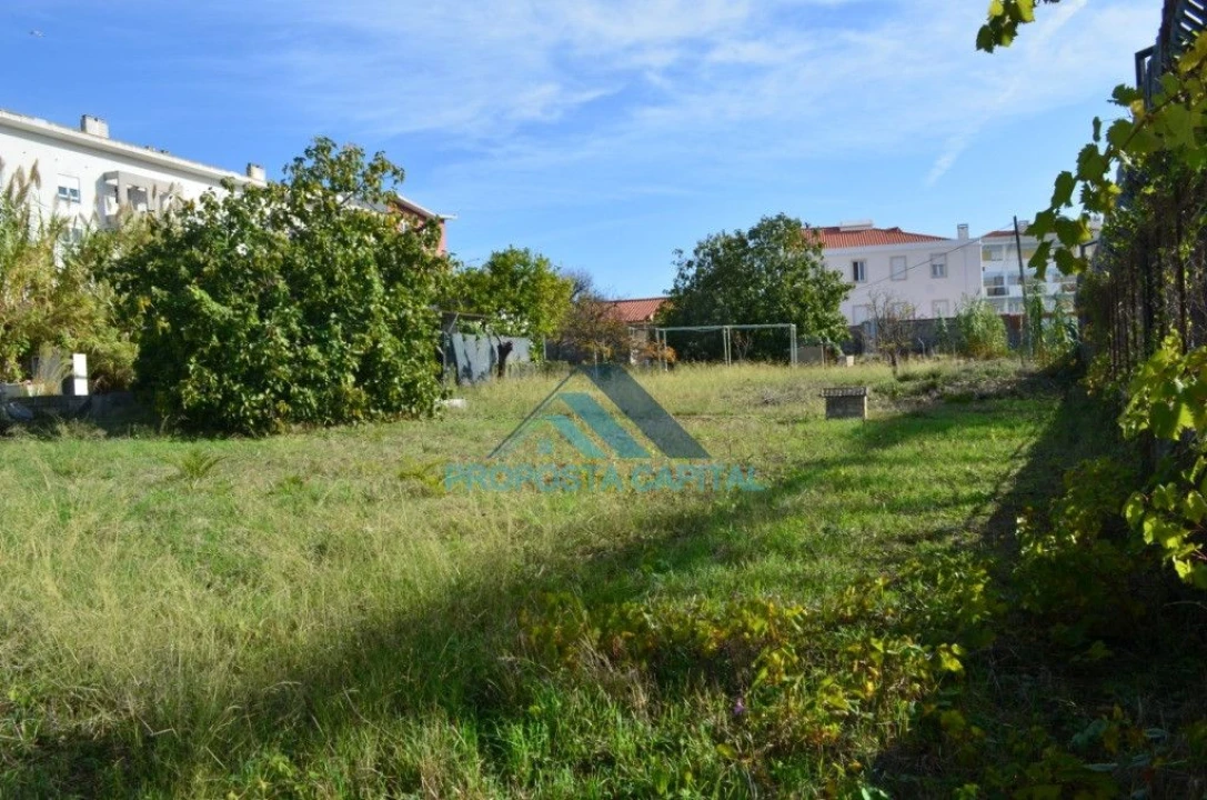 Terreno Agricola ou Rústico para Venda em Alcantara Foto 1