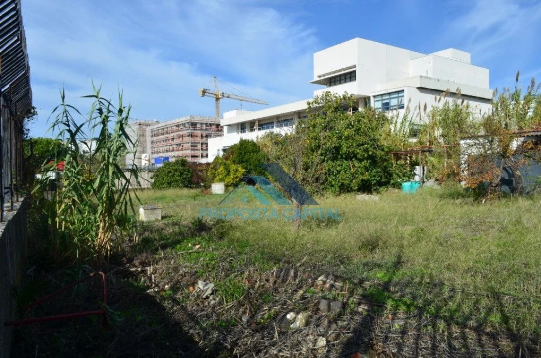 Terreno Agricola ou Rústico para Venda em Alcantara Foto 3