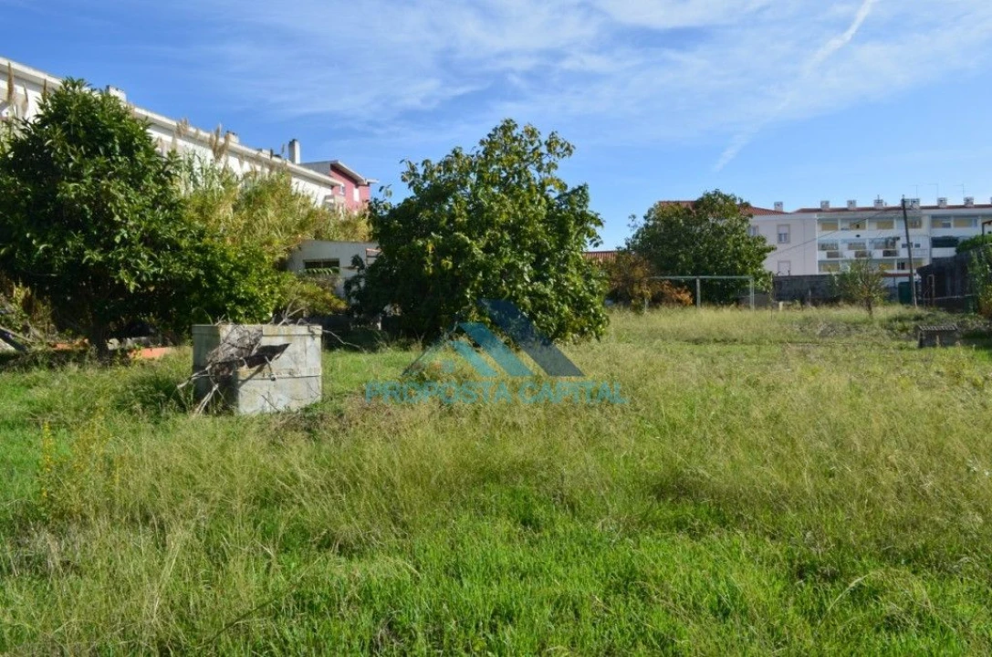 Terreno Agricola ou Rústico para Venda em Alcantara Foto 4