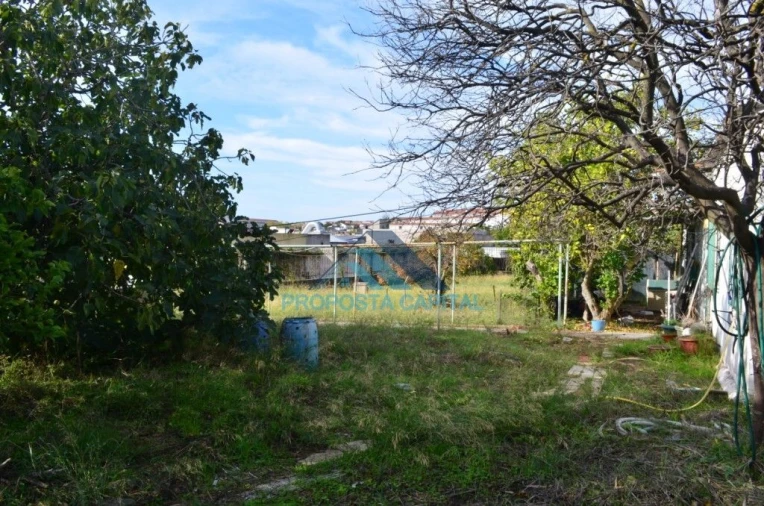 Terreno Agricola ou Rústico para Venda em Alcantara Foto 2