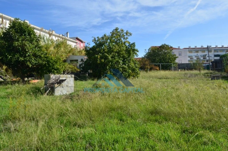 Terreno Agricola ou Rústico para Venda em Alcantara Foto 4