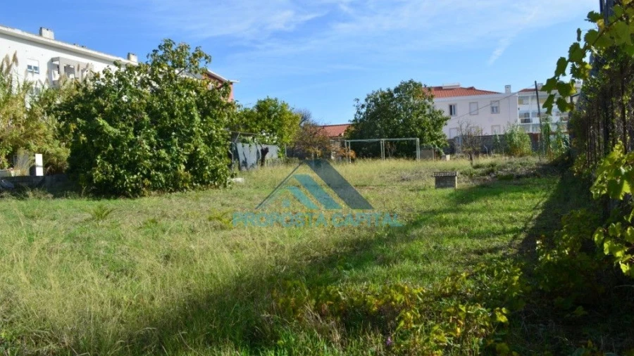 Terreno Agricola ou Rústico para Venda em Alcantara