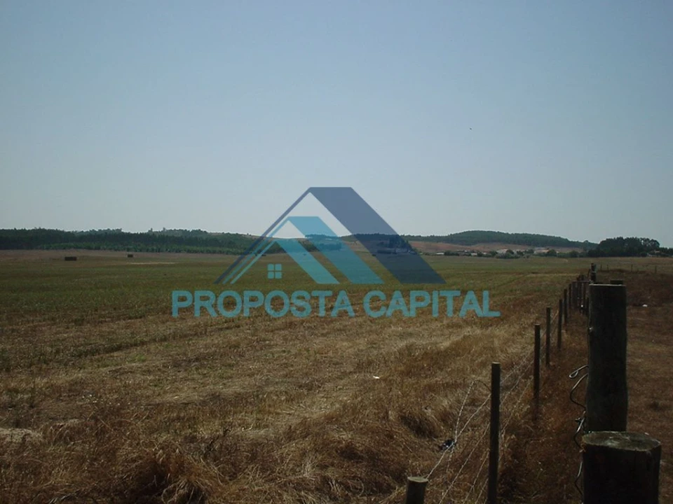 Terreno Agricola ou Rústico para Venda em São Salvador e Santa Maria Foto 1