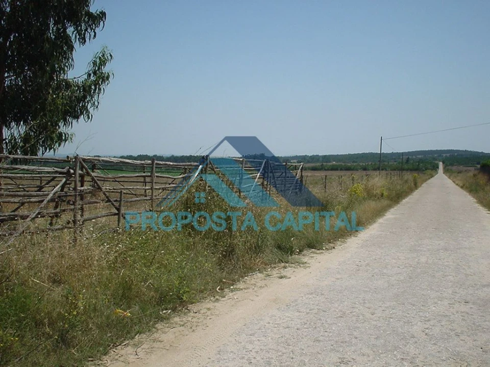 Terreno Agricola ou Rústico para Venda em São Salvador e Santa Maria Foto 4