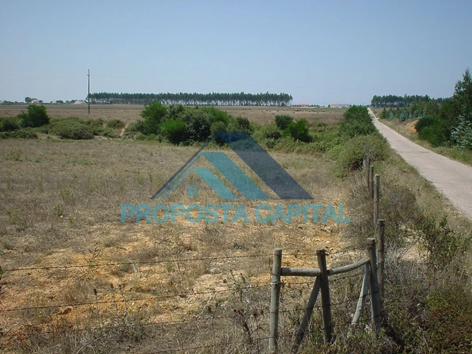 Terreno Agricola ou Rústico para Venda em São Salvador e Santa Maria Foto 5