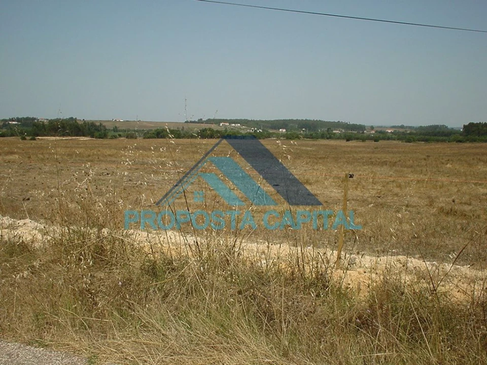 Terreno Agricola ou Rústico para Venda em São Salvador e Santa Maria Foto 6