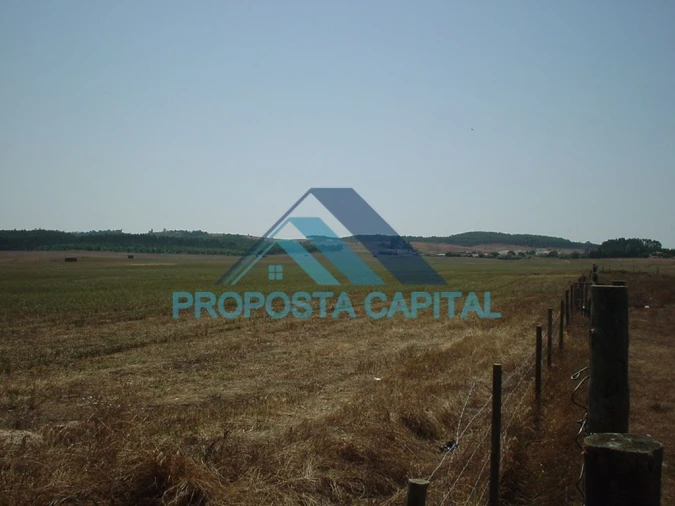 Terreno Agricola ou Rústico para Venda em São Salvador e Santa Maria Foto 1