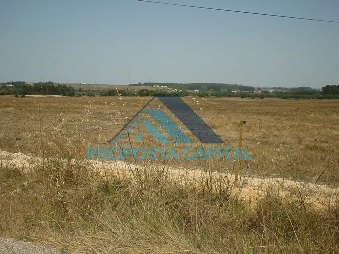 Terreno Agricola ou Rústico para Venda em São Salvador e Santa Maria Foto 6
