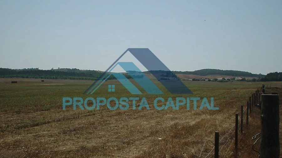 Terreno Agricola ou Rústico para Venda em São Salvador e Santa Maria