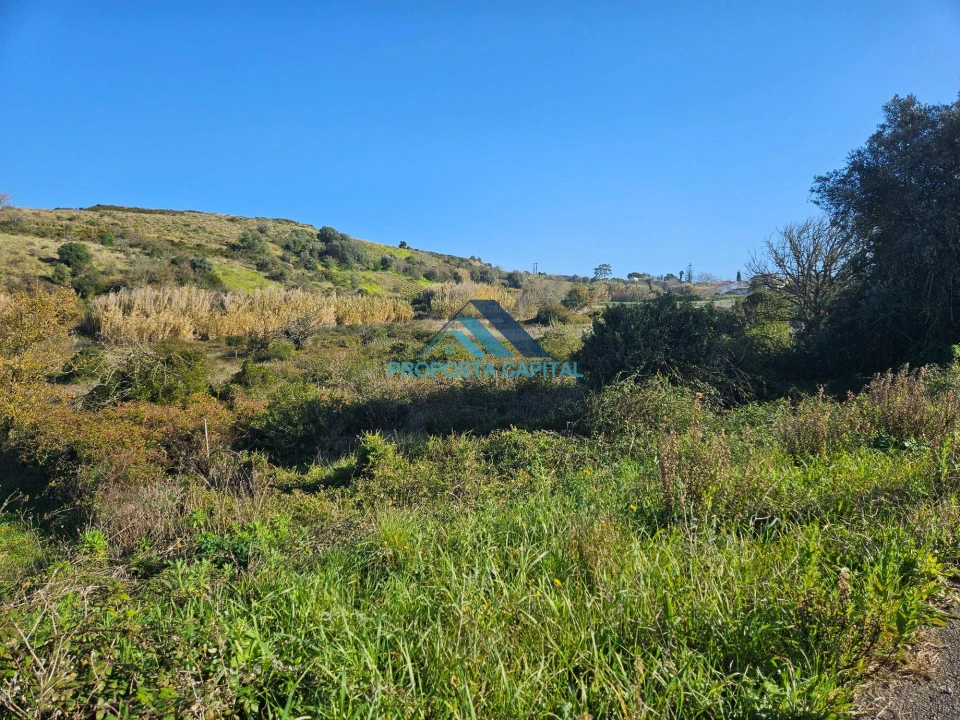 Terreno para Venda em Dois Portos e Runa Foto 3