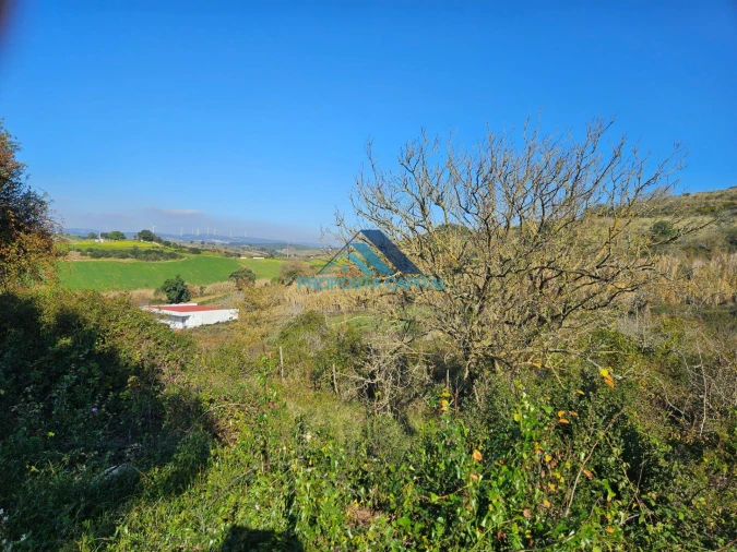 Terreno para Venda em Dois Portos e Runa Foto 2