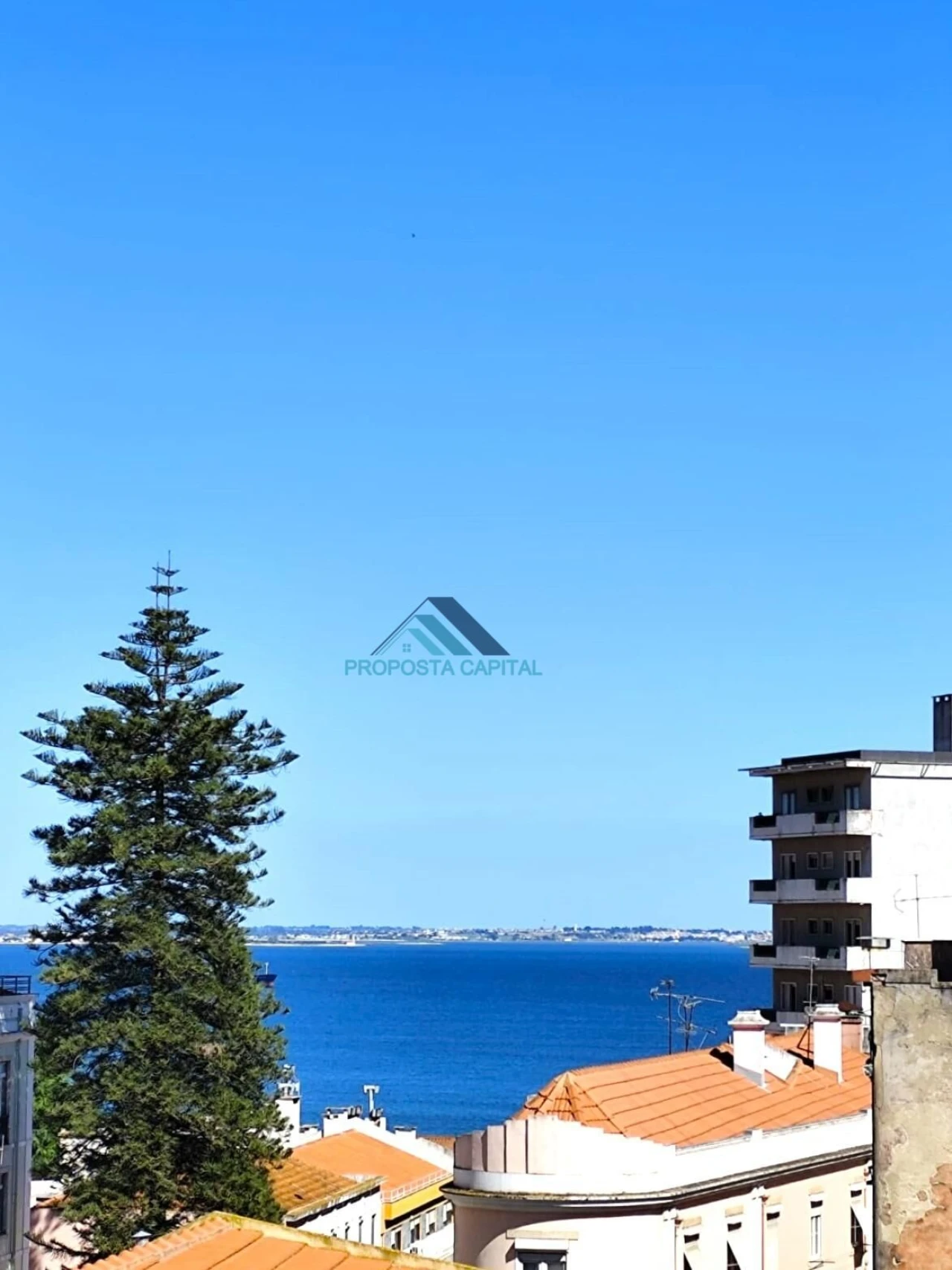 Apartamento T2 para Venda em São Vicente Foto 7