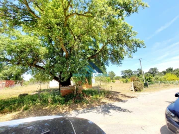 Moradia para Venda em Sesimbra (Castelo)
