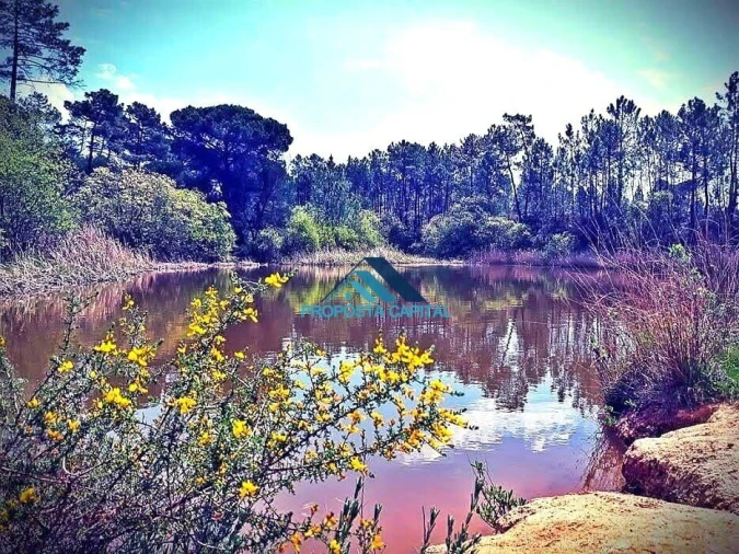 Terreno para Venda em Palhais e Coina Foto 2