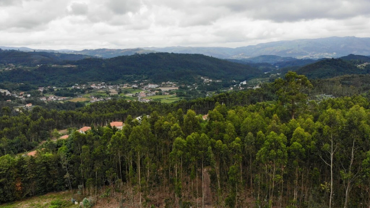 Terreno para Venda em Vieira do Minho Foto 6