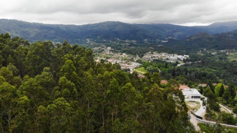 Terreno para Venda em Vieira do Minho