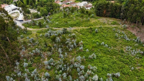 Terreno para Venda em Vieira do Minho