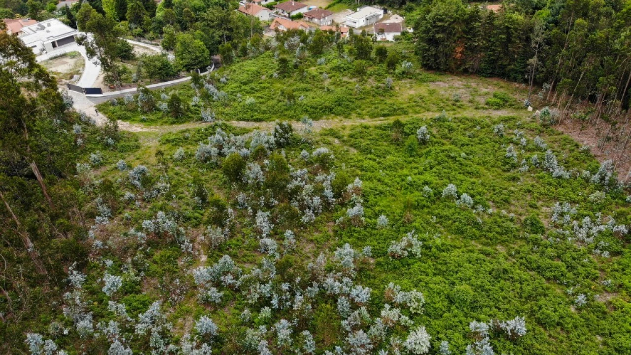 Terreno para Venda em Vieira do Minho Foto 1