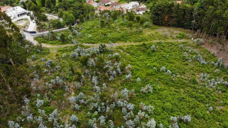 Terreno para Venda em Vieira do Minho