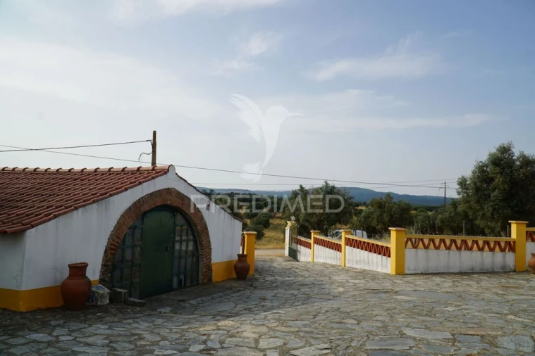 Quinta T5 para Venda em Redondo Foto 6