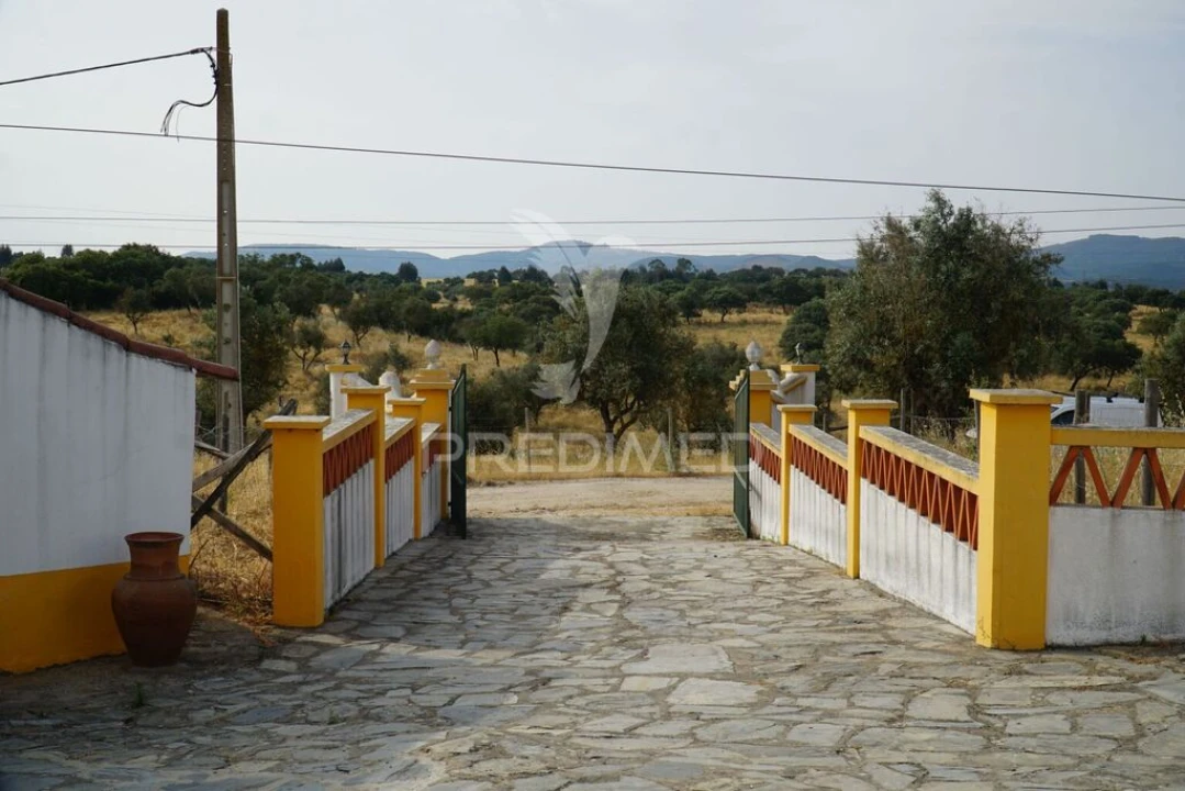 Quinta T5 para Venda em Redondo Foto 5