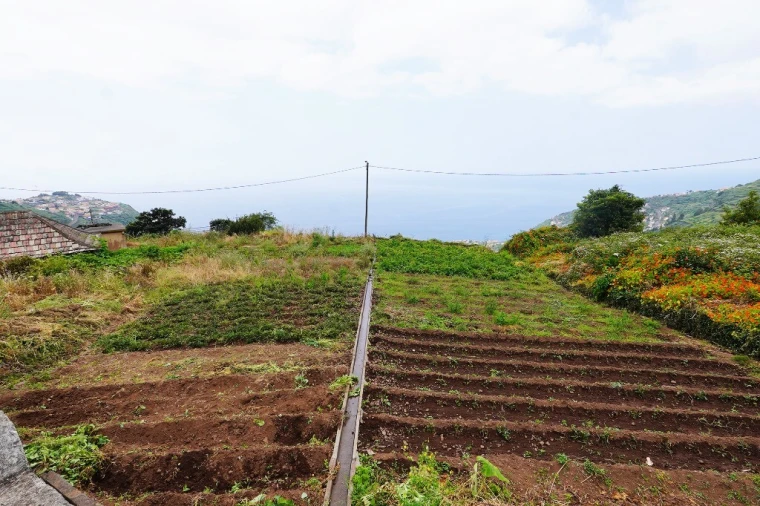 Terreno para Venda em Arco da Calheta