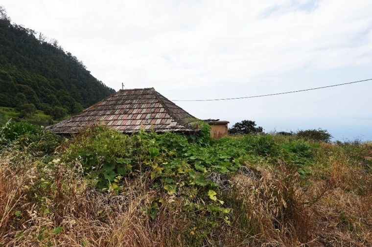 Terreno para Venda em Arco da Calheta Foto 6