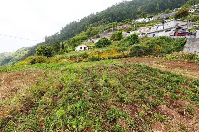 Terreno para Venda em Arco da Calheta Foto 4