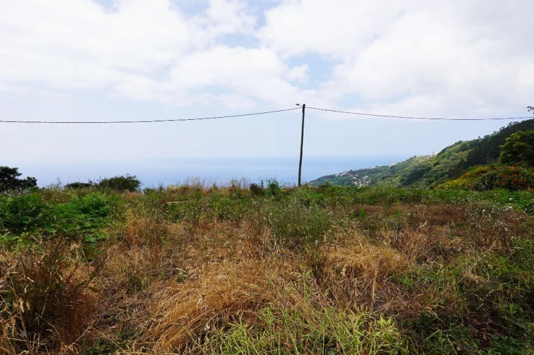 Terreno para Venda em Arco da Calheta Foto 5