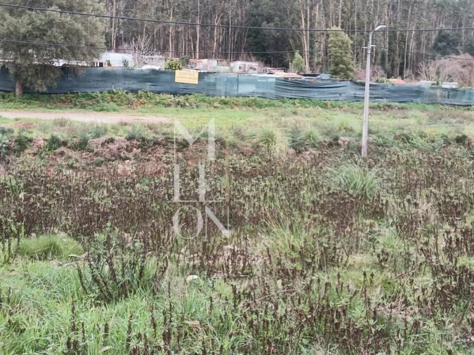 Terreno para Venda em Valongo Foto 3