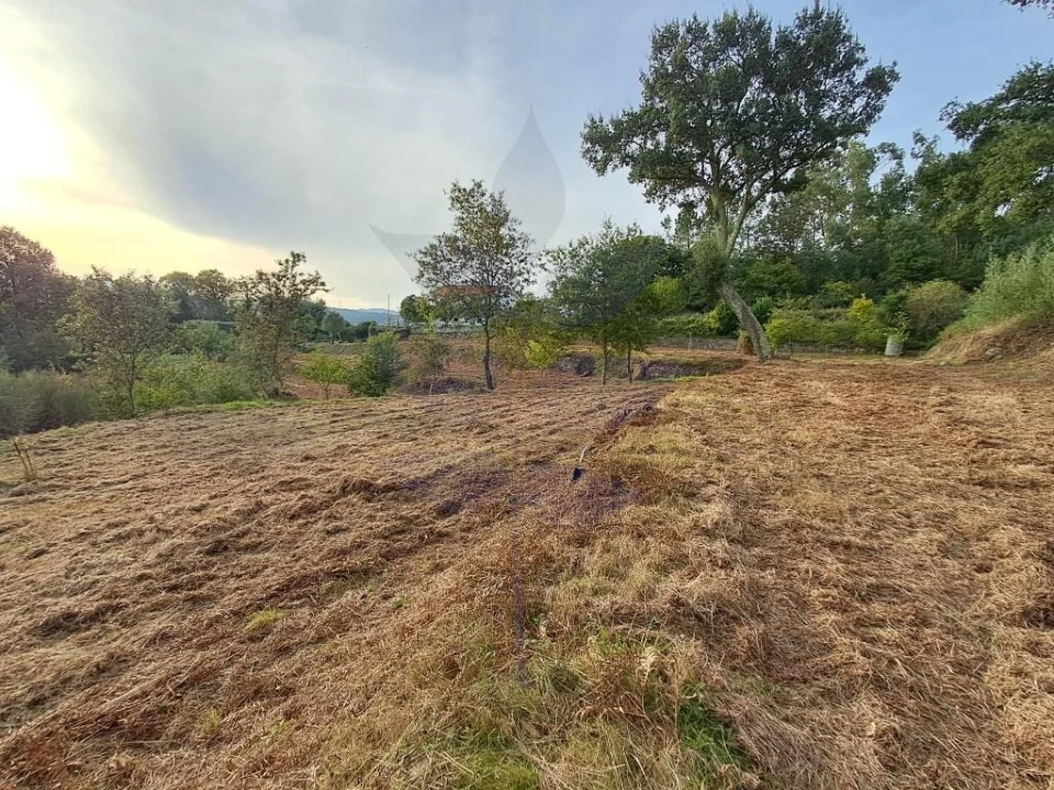 Terreno para Venda em Anais Foto 12