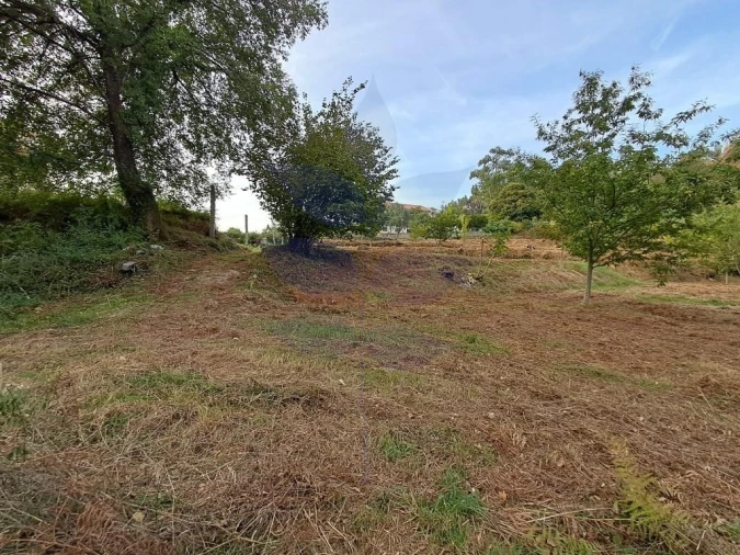 Terreno para Venda em Anais Foto 20