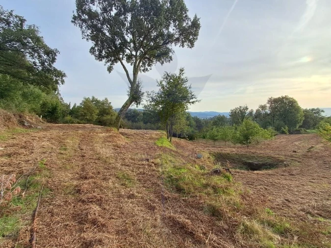 Terreno para Venda em Anais Foto 6