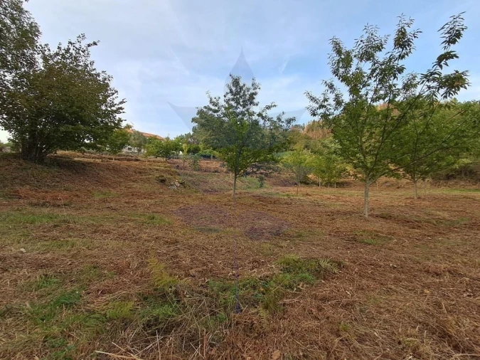 Terreno para Venda em Anais Foto 19