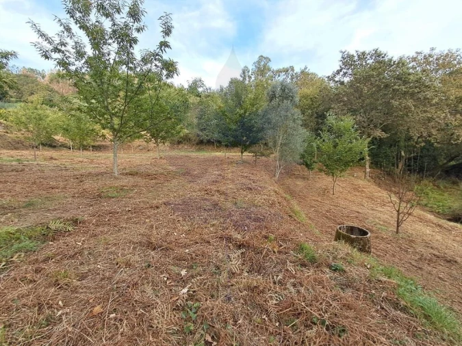 Terreno para Venda em Anais Foto 18