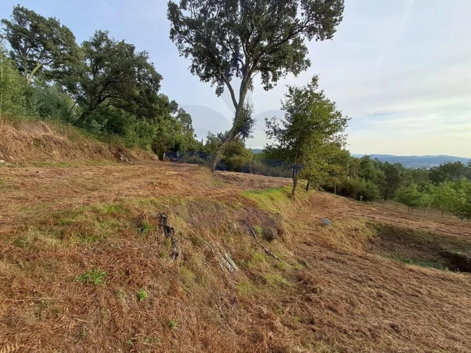 Terreno para Venda em Anais Foto 13