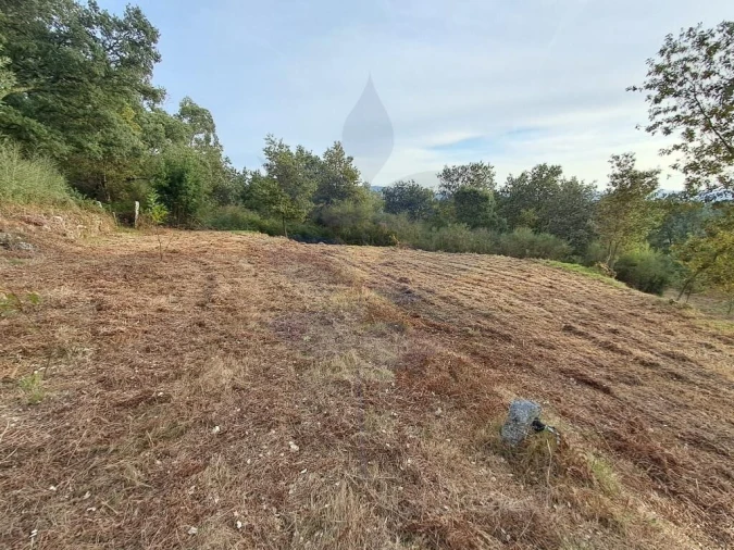 Terreno para Venda em Anais Foto 8