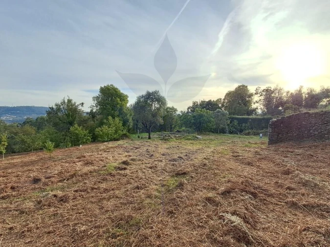 Terreno para Venda em Anais Foto 5