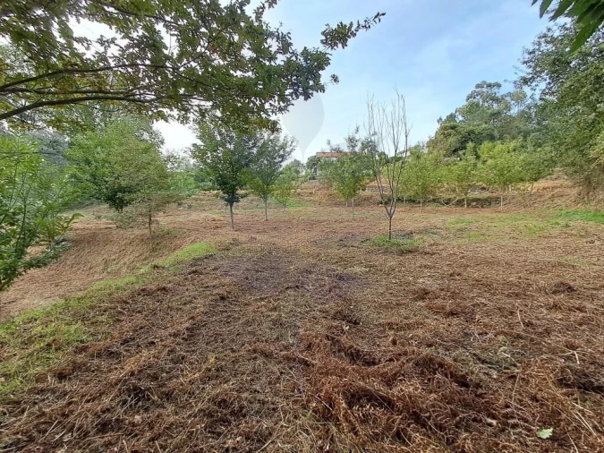 Terreno para Venda em Anais Foto 16