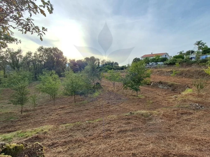 Terreno para Venda em Anais Foto 10