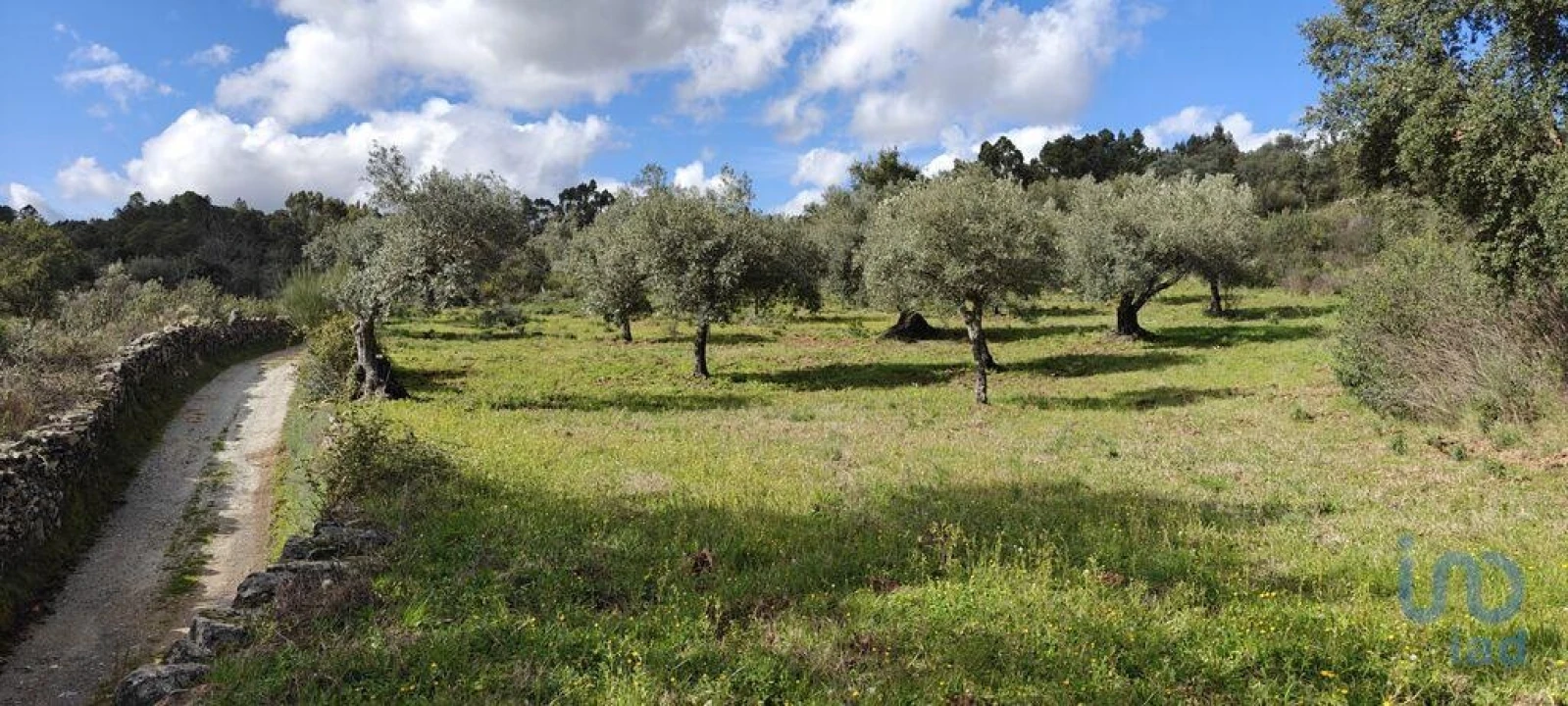 Terreno para Venda em Aranhas Foto 1