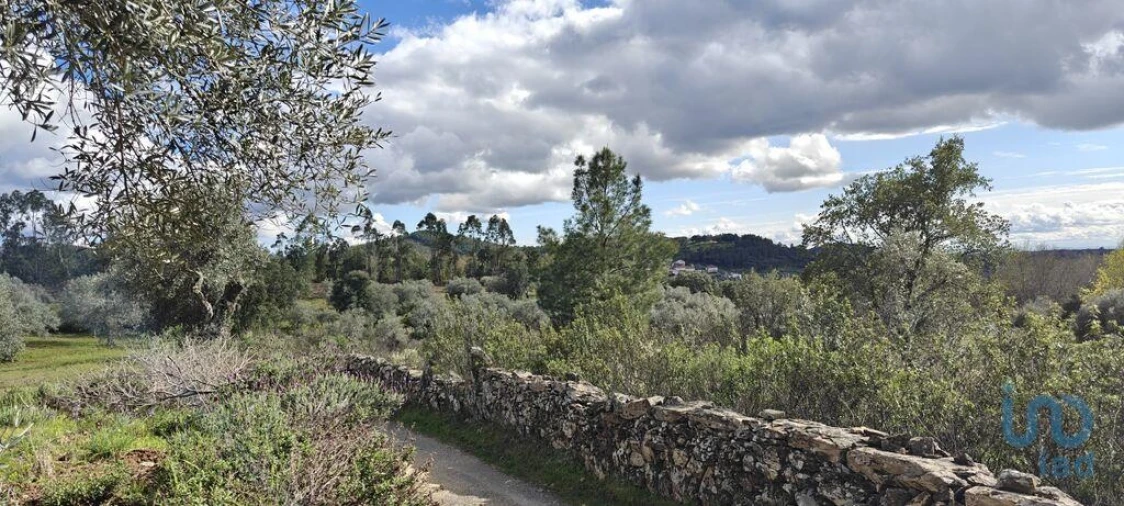 Terreno para Venda em Aranhas Foto 3