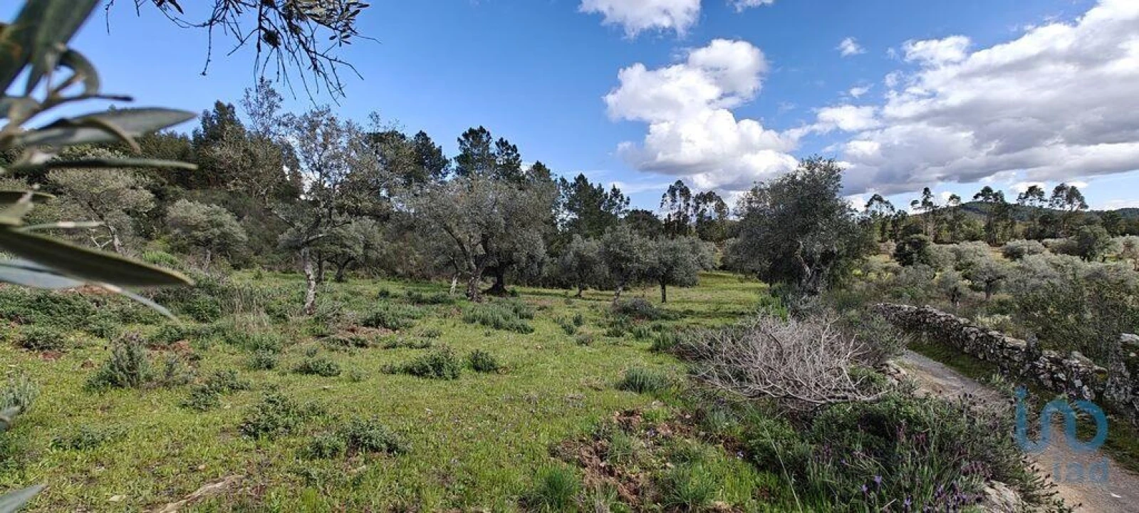 Terreno para Venda em Aranhas Foto 2