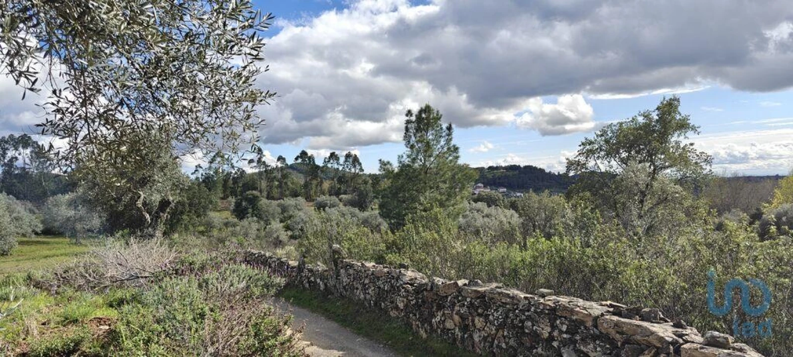 Terreno para Venda em Aranhas Foto 3